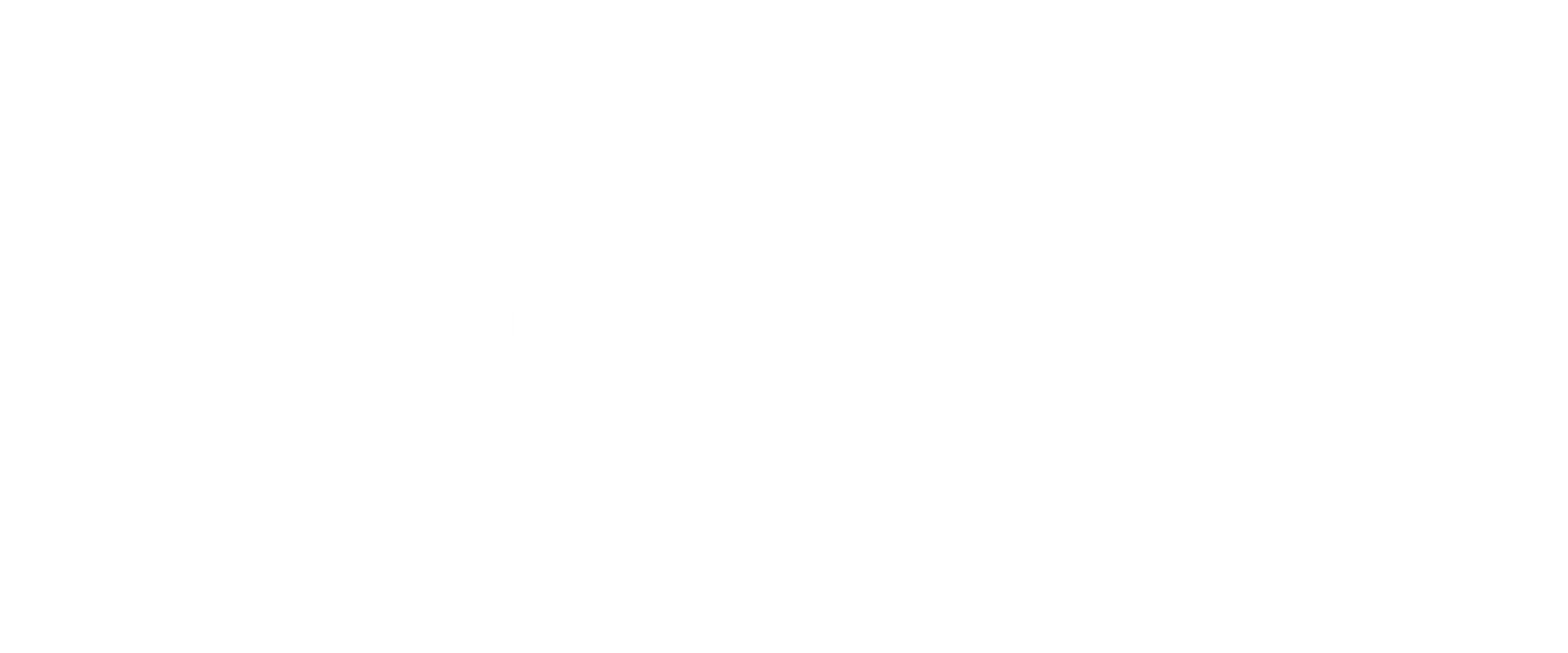 voltzen llc 